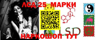 spice Заволжье