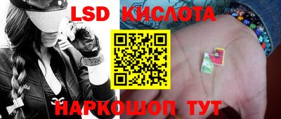 spice Заволжье