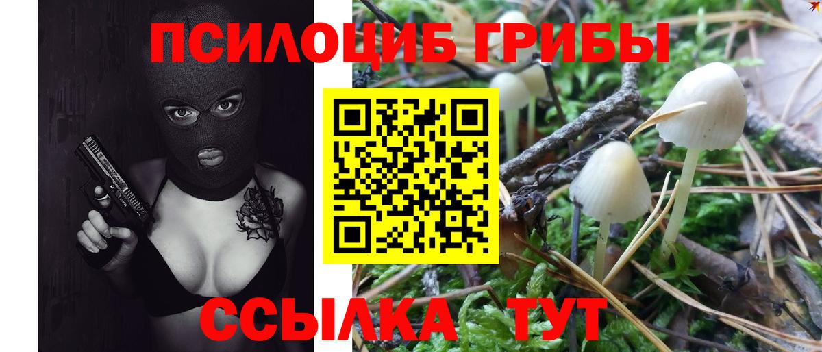 Псилоцибиновые грибы GOLDEN TEACHER Котельники